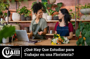 ¿Qué Hay Que Estudiar para Trabajar en una Floristería?
