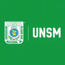 Universidad Nacional de San Martín de Perú - Logo